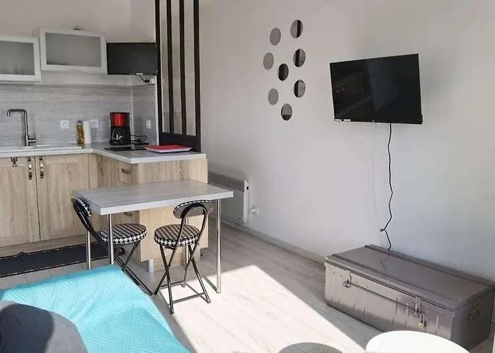 Moderne, Proche Et Commerces, Terrasse Ensoleillee - Fr-1-326-699 * Marseillan (Herault)